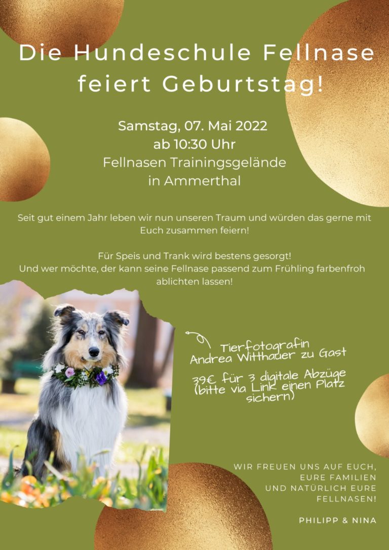 Fellnasen Sommerfest Flyer 2022