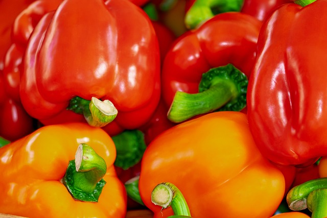 bunte paprika Hundeschule Fellnase