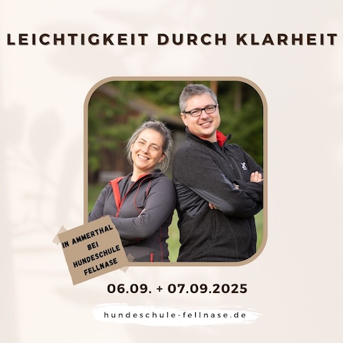 Leichtigkeit durch Klarheit 2025