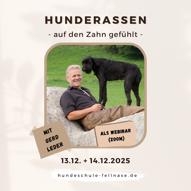 Gerd Leder Dezember 2025 Hundeschule Fellnase